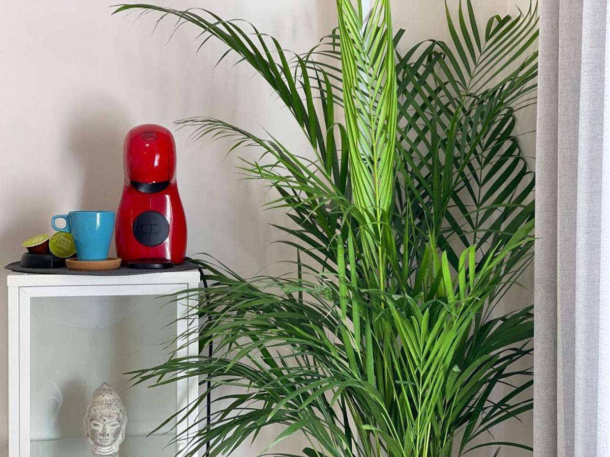 Cozy Studio Centr Torremolinos Kültér fotó